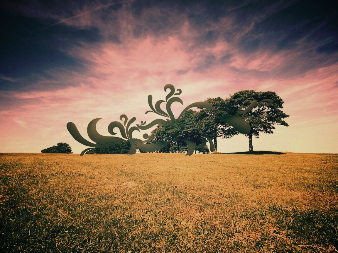 На равнине обои