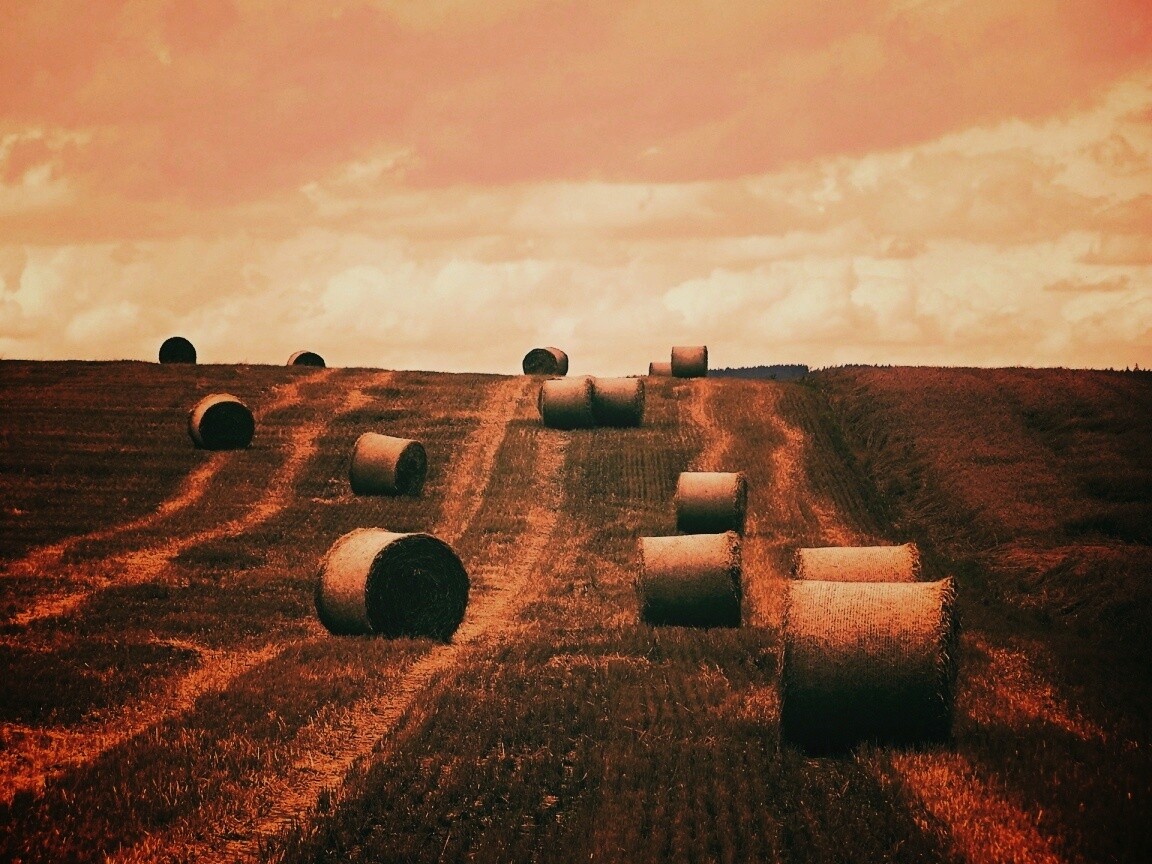Уборка сена с поля обои