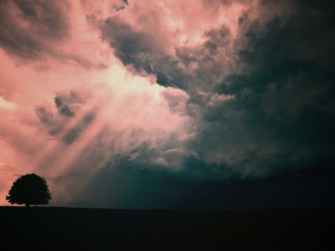 Избранный обои