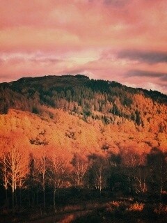 Золотая осень обои