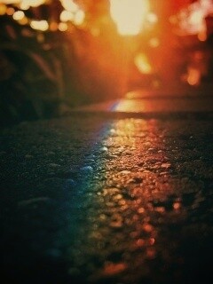 Макро радуга на камне обои