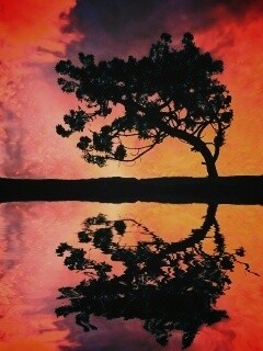 Зеркальное озеро обои