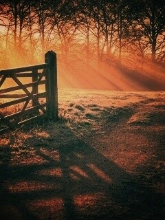 Открытые ворота обои