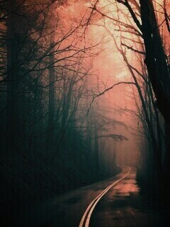 В туман обои