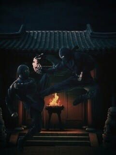 Бой ниндзя обои