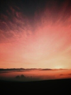 Утренний туман обои