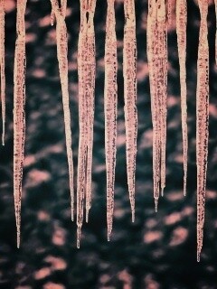 Сосули обои