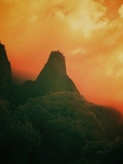 Заросшие джунглями горы обои