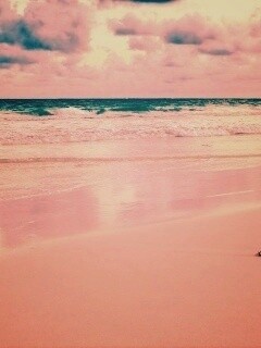 Тропический берег обои