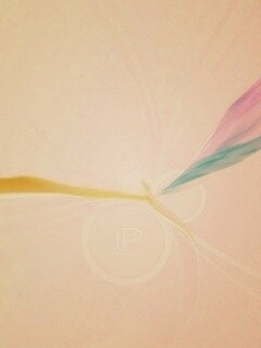 Силуэт птицы обои