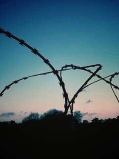 Колючая проволка обои