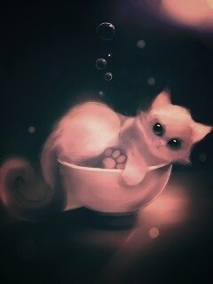 Котёнок в миске обои