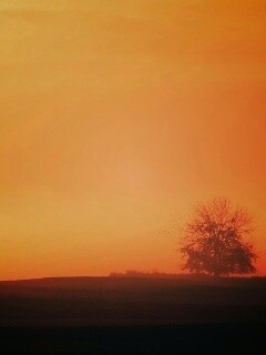 Убранное поле обои