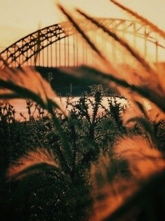 Железнодорожный мост обои