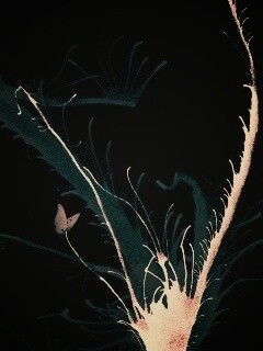 Абстракция из брызг обои