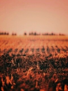 Поле перед вспашкой обои