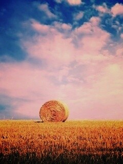 СОломеннынй рулон обои