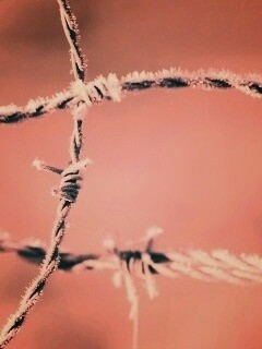 Замерзшая колючая проволока обои