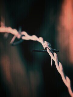 Колючая проволока обои