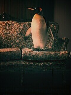 Соседи по дивану обои