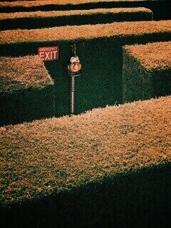 Аварийный выход из лабиринта, газонокосилки обои