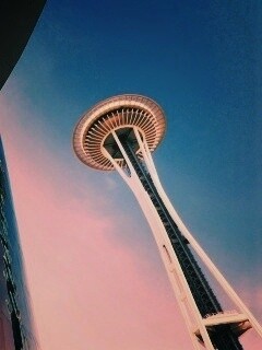 Space Needle Tower обои