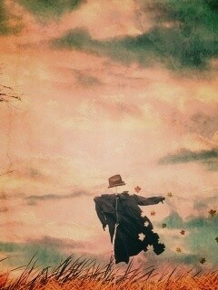 Забытое пугало обои