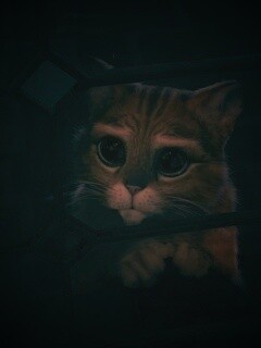 Кот в сапогах обои