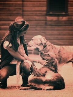 Девушка с собаками обои