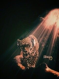 Ягуар в наушниках обои