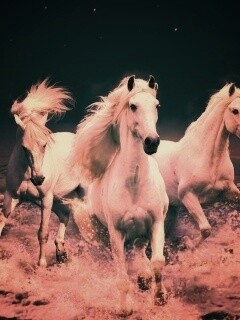 Тройка конец в море обои