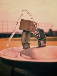 Дандо пьет в воду из фонтанчика обои