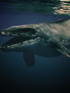 Морской динозавр обои