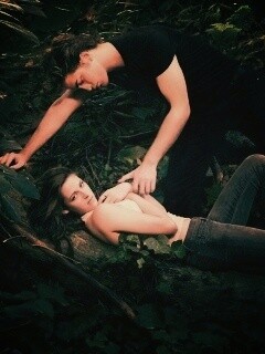 Эдвард и Белла в лесу обои