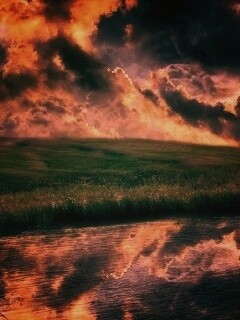 Тучи над лугом обои