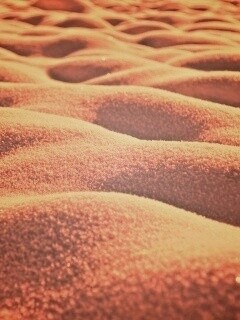 Песчаные бугры обои