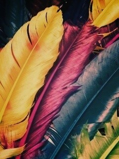 Разноцветные перья обои