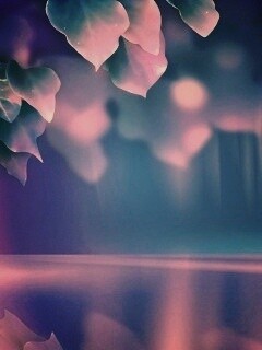 Синие листья обои