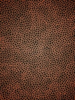 Пятнистая шкура обои