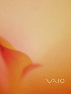 Цветок и логотип Vaio обои
