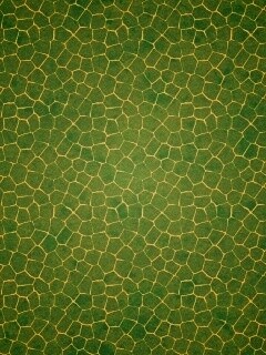 Зелёные сегменты обои