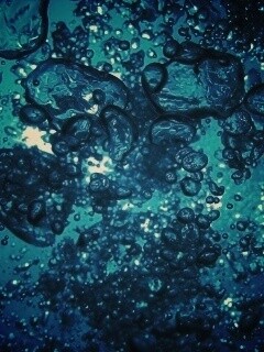 Тёмные пузыри в воде обои