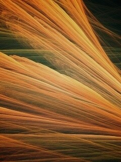 Прозрачные зеленоватые крылья обои