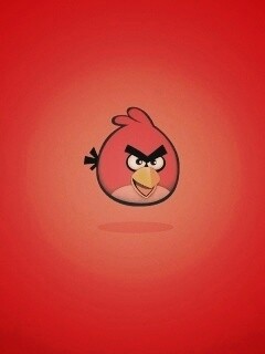 Красная птица из Angry Birds обои