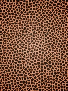 Текстура шкуры жирафа обои