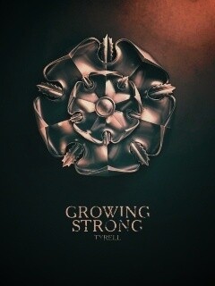 Металлический герб Тиреллов обои