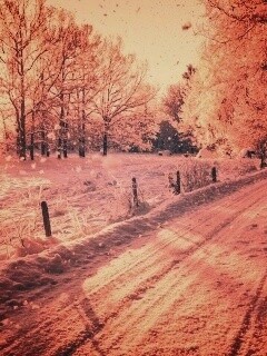 Снежная дорога залитая солнцем обои