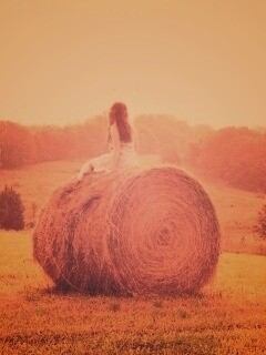 Девушка на снопе сена обои