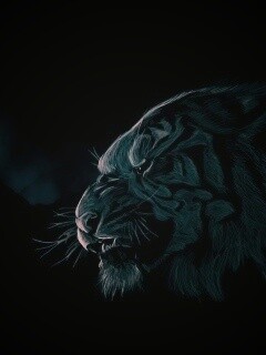 Рисунок грозного тигра обои