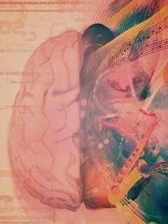 Левая и правая половина мозга обои